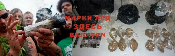 a pvp Аркадак