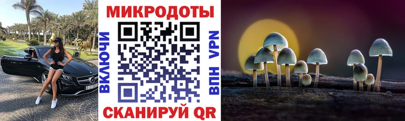 Купить где  Сосновка  Псилоцибиновые грибы Psilocybine cubensis 